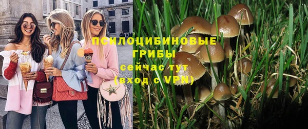 гашик Нея