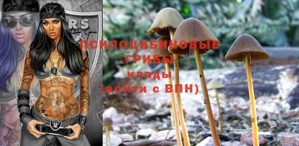 гашик Нея