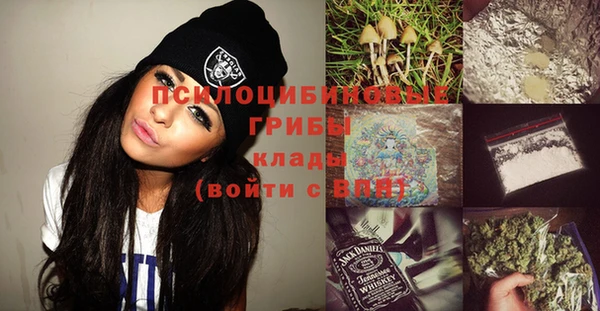 гашик Нея