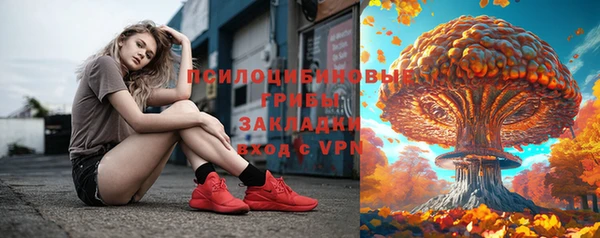 гашик Нея