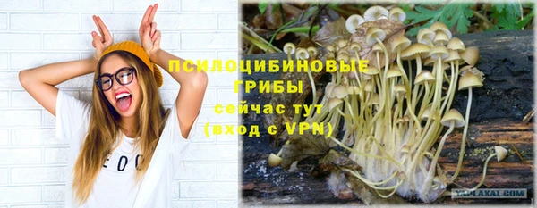 не бодяженный Нефтекумск