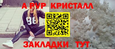 2c-b Гай