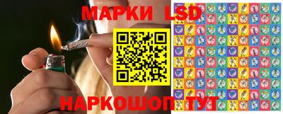 спайс Гатчина