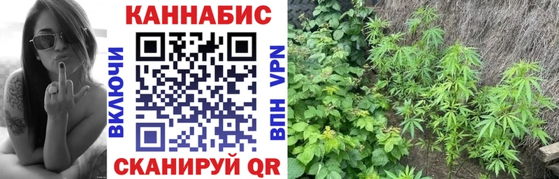 Шишки марихуана VHQ  Ханты-Мансийск 